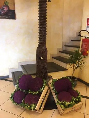 Agricampeggio Verde Etna Aci Sant'Antonio