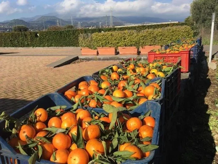 Agricampeggio Verde Etna Aci Sant'Antonio Campsite